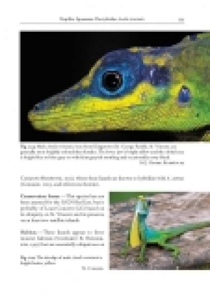 Preview: Amphibians and Reptiles of the St. Vincent and Grenada Banks, We